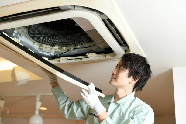 Best Dryer Vent Cleaning Services  in Raoul, GA