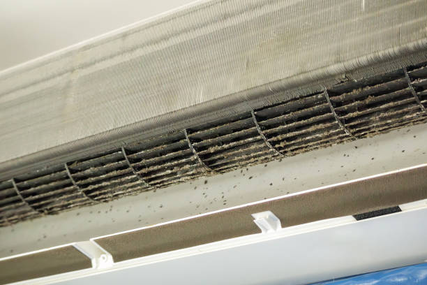 Best Air Duct Cleaning Company Near Me  in Raoul, GA